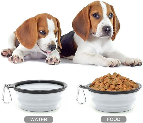 Sammenklappelig bærbar hundeskål til katte og hunde, foder- og vandskål til kæledyr med karabinhage White Large(1000ML)