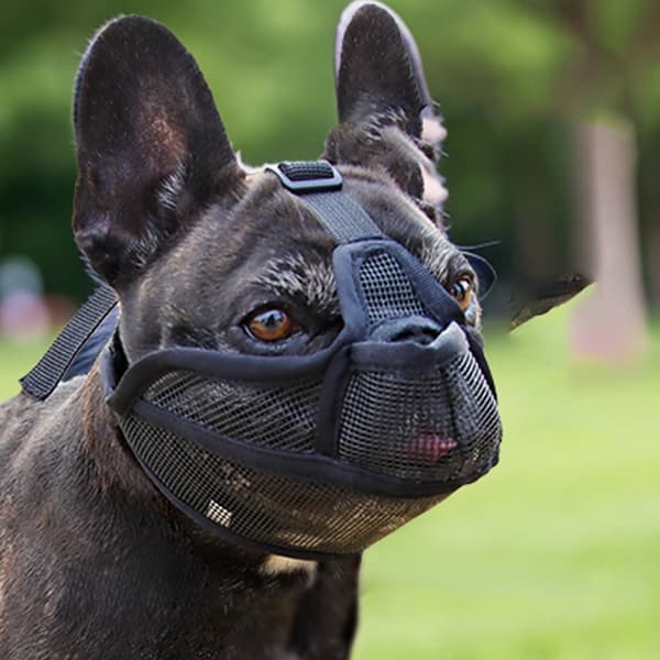 Blå kortnæset hundemundkurv, blød åndbar polyester, XS, behagelig pasform til brachycephale racer