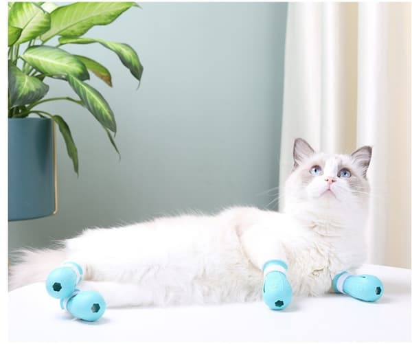 Kattasskydd, blå, 4-pack, anti-rep & bett, justerbar TPE, för kloklippning Blue