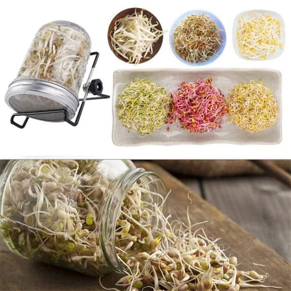 Groddlock i rostfritt stål, 4-pack, för breda murarburkar, odla böngroddar -86mm
