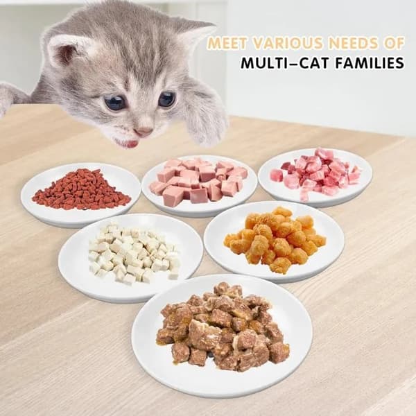 Keramiske katteskåle sæt med 6, sildebensmønster, til katte og små hunde