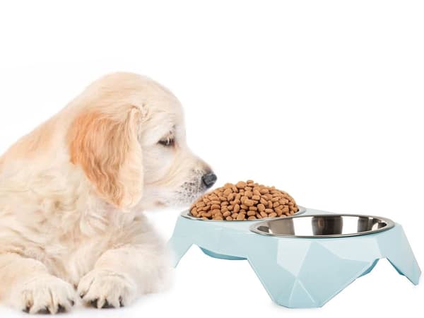 Dobbelt kæledyrsskål, 2x350 ml, rustfrit stål, spildfri, plastbase, hund & kat