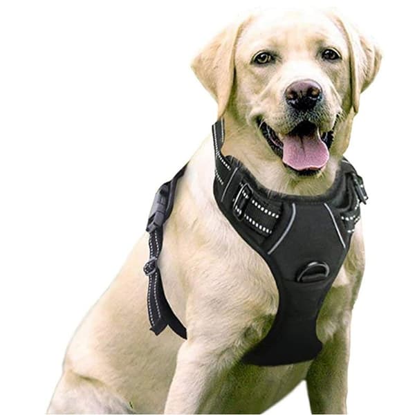 Hundesele med reflekterende striber, sort, størrelse M, åndbar polyester, til gåture