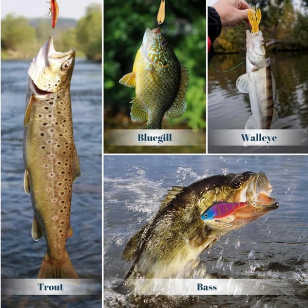Fiske Julekalender, 24-dagers nedtelling til jul med fiskesluker for menn