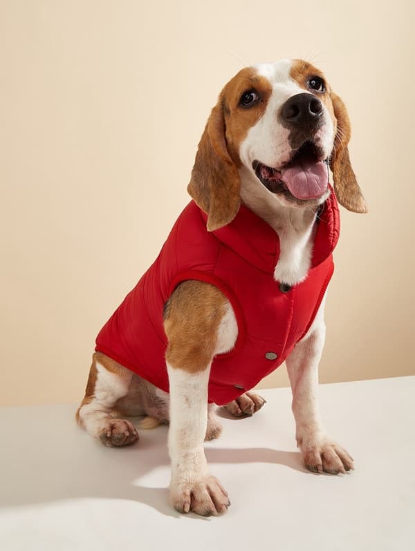 Hundevest i bomull, varm ensfarget knappevest for små og mellomstore hunder