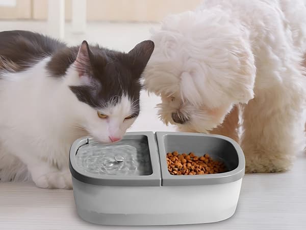 2-i-1 Kæledyr Vandfontæne & Madskål, 2,5L, USB, Automatisk, til Katte & Hunde