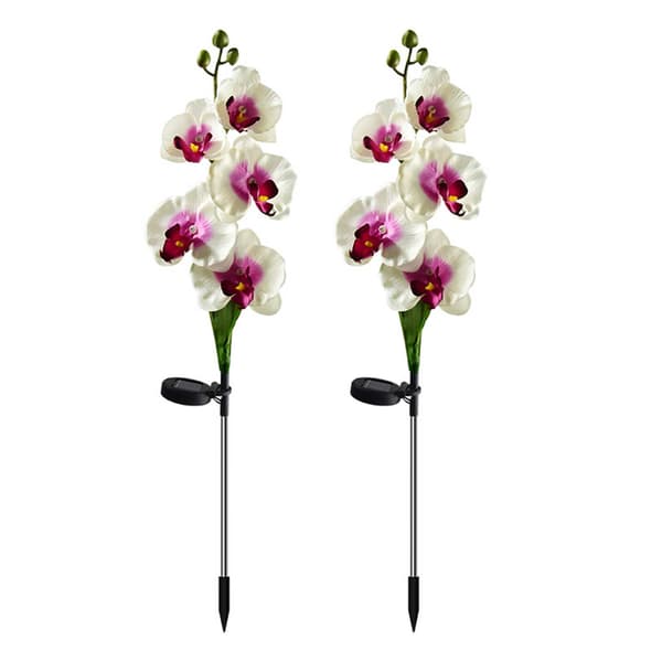 Solar Phalaenopsis Hagelys, Lysende Innstikkslys, Utendørs Landskap Dekorative