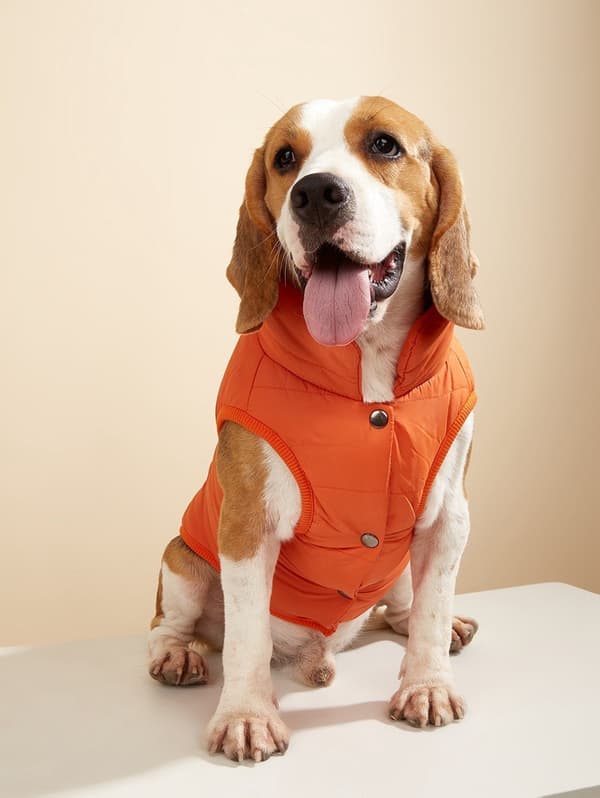 Hundevest i bomull, varm ensfarget knappevest for små og mellomstore hunder