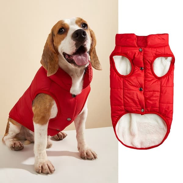 Hundevest i bomull, varm ensfarget knappevest for små og mellomstore hunder