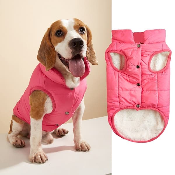 Hundevest i bomull, varm ensfarget knappevest for små og mellomstore hunder