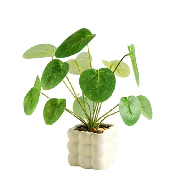 Kunstig blomsterbuket, langtidsholdbare plastikblomster, boligindretning Square Bubble Pot + Apple Leaves
