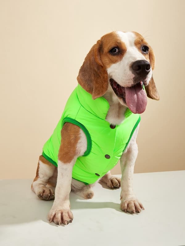 Hundevest i bomull, varm ensfarget knappevest for små og mellomstore hunder