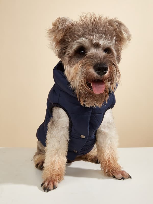 Hundevest i bomull, varm ensfarget knappevest for små og mellomstore hunder