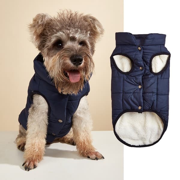 Hundevest i bomull, varm ensfarget knappevest for små og mellomstore hunder