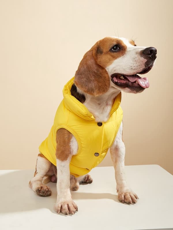 Hundevest i bomull, varm ensfarget knappevest for små og mellomstore hunder