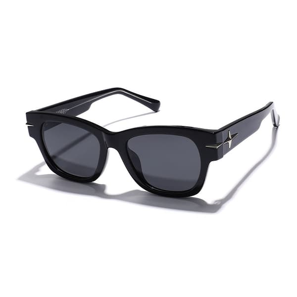Polariserade solglasögon med fodral, svarta, UV-skydd, trendig design Black