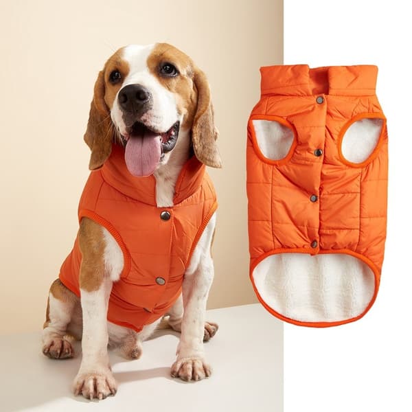 Hundevest i bomull, varm ensfarget knappevest for små og mellomstore hunder