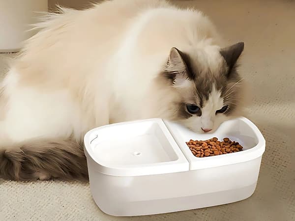 2-i-1 Kæledyr Vandfontæne & Madskål, 2,5L, USB, Automatisk, til Katte & Hunde