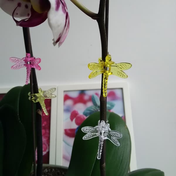 30 stk. Libelleorkidéklips, plastplantestøtte for hage, blomsterrankeklips