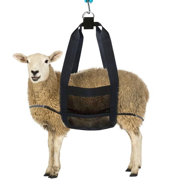 Kæledyrsslynge til små dyr, sort, nylon, 50x31 cm, kraftig vejesnor