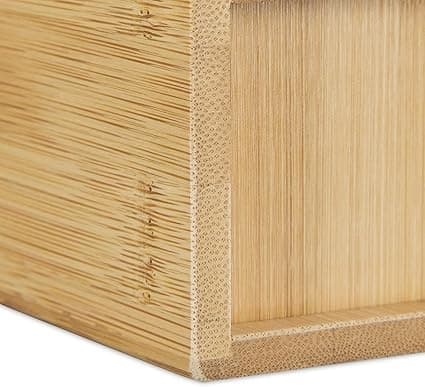 Tandborsthållare badrum Vidro Naturlig bambu, HxBxD 9,5 Aquaforge