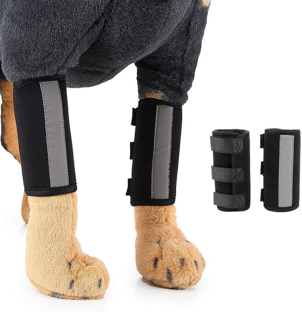 Hundbensstöd med reflexband, neopren, justerbart, litet, för skadeåterhämtning S