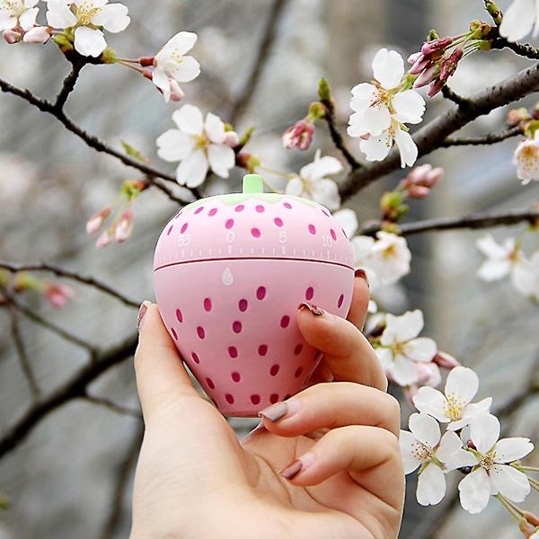 Kjøkken Timer 360 Grader Roterende Plast Mekanisk Timer Alarm[HK] Strawberry