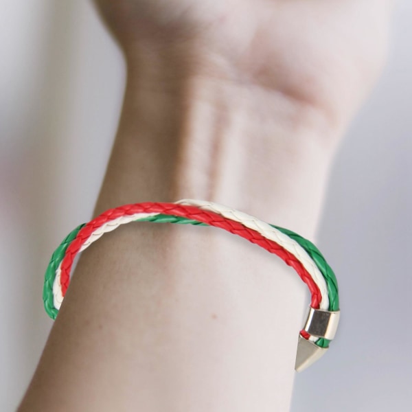 Smykkearmbånd, Italiensk flagg armbånd, lærlegering, for menn og kvinner, grønn hvit rød (bredde 14 mm([HK])