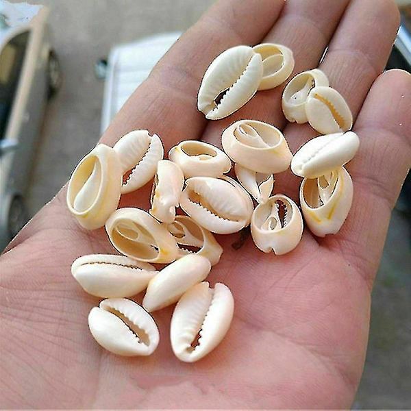 HKK  100 stk. Bulk Cut Sea Shell Cowrie Cowry Shells Beach Diy Smykker Tilbehør Dekor