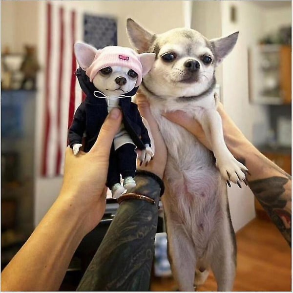 Handgjord docka i harts, stående valpfigur, chihuahua sharpei hund, söt och trendig djurfigur i lera [HK] one size C
