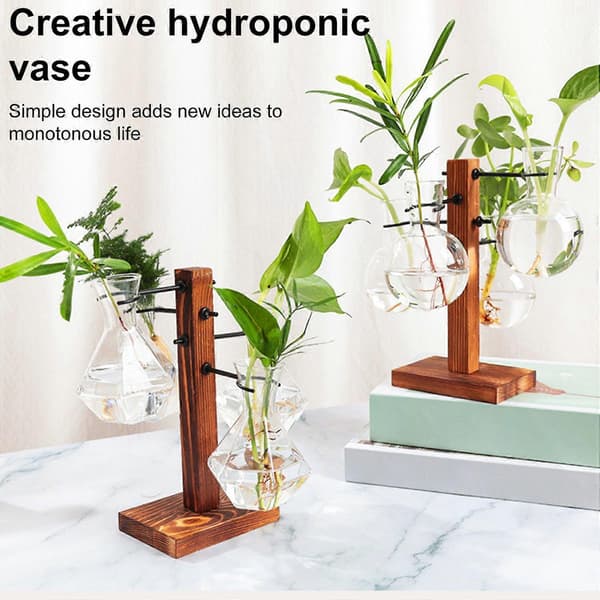 1 set förökningsstation för växter med 4 glasvaser, terrariumkit för inomhusväxter, hydroponisk[HK] Round