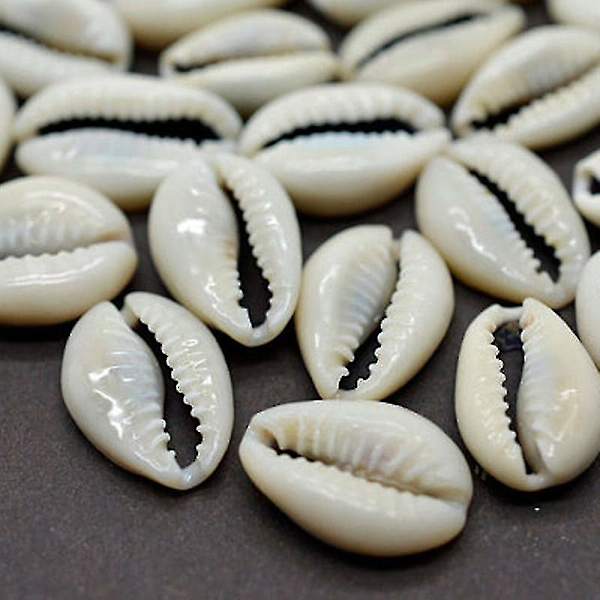 HKK 100 stk Bulk Cut Sea Shell Cowrie Cowry Shells Beach Diy Smykker Tilbehør Dekor