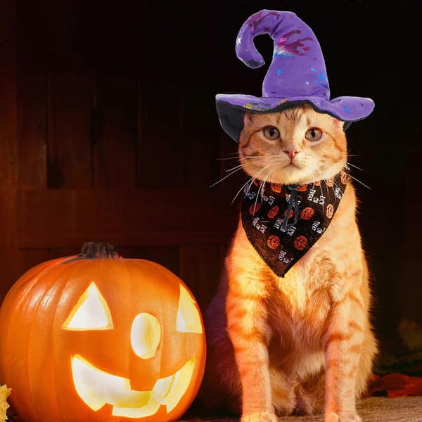 Halloween kjæledyrhatt elastisk hunde- og kattehatt til festival [HK]