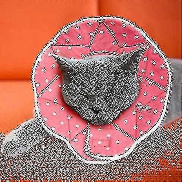 Komfortabel efteroperation for katte og hunde, robust [HK]
