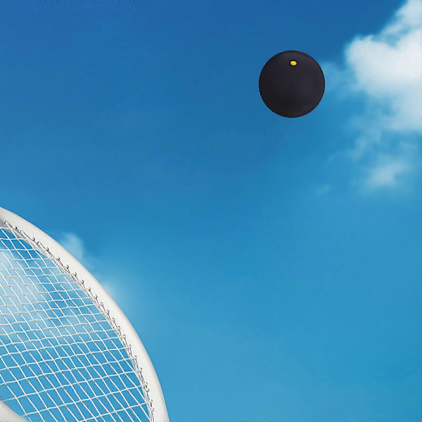 Racketboll för träning, elastisk gummiboll för sport 2 st [HK]