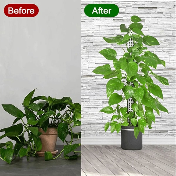 Stablet Mesh Plast Plante Støttepæl til Planter til at Vokse Opad Stang til Planter Indendørs Have[HkkK] 6Pcs Pack Stackable Version