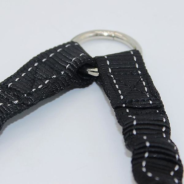 Hundefører uten floker med trippelkobling, bungee-line, svart (1 stk, svart) [HK]