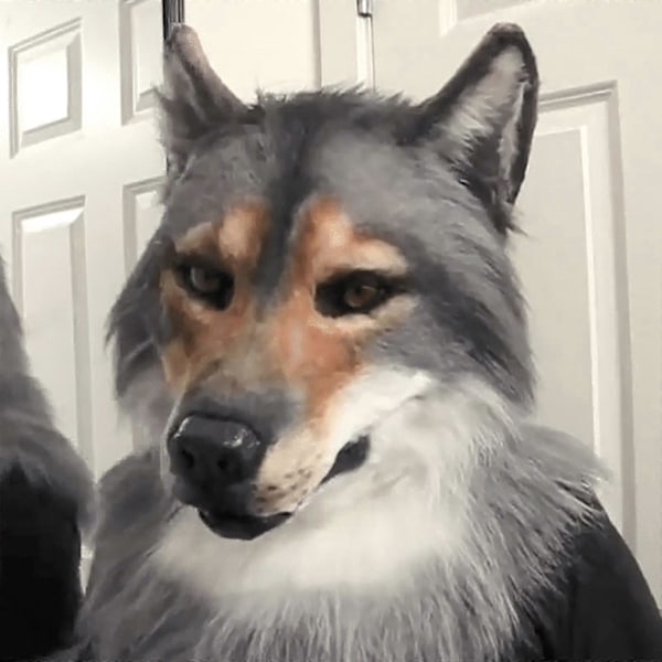 Huvudbonad Kostym Mask Varg Kostym Mask Varg Mask Juldekorationer[HK]