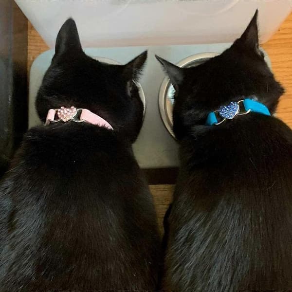 Crystal Heart Velvet Katthalsband för bröllop[HK] 2pcs (pink+black)