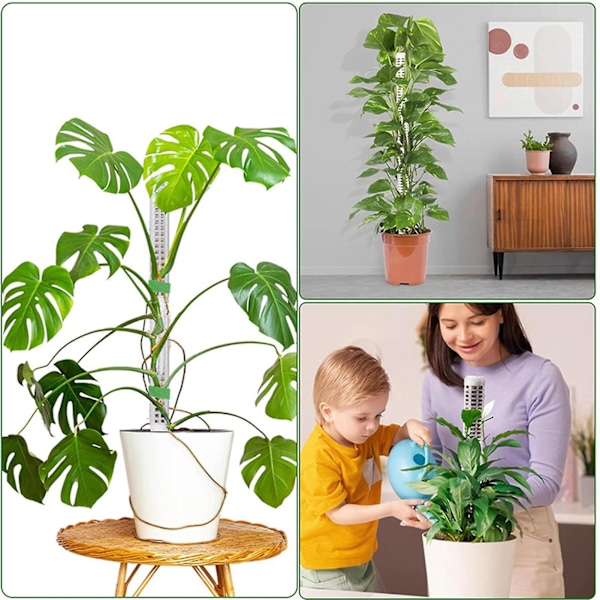 Stablet Mesh Plast Plante Støttepæl til Planter til at Vokse Opad Stang til Planter Indendørs Have[HkkK] 6Pcs Pack Stackable Version
