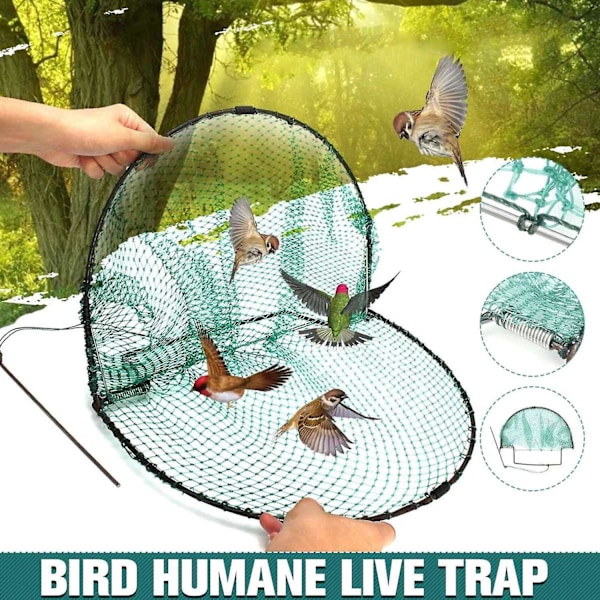 Humanitaarinen lintuloukku kyyhkysille ja varpusille, helppo pyydystysratkaisu [HK] 30CM