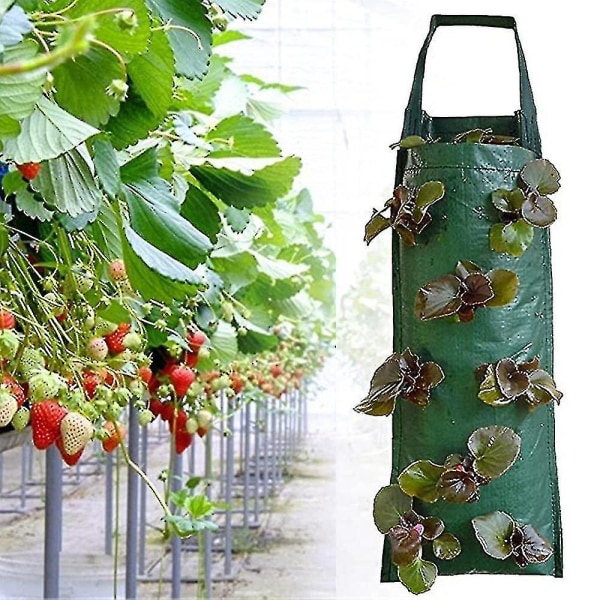 4/8 Hull Strawberry Vekstpose Strawberry Planting Hengende Pose Sterk Stoff Blomst Hage Planterpose Fra SenzheAA[HkkK] 8 Holes Green