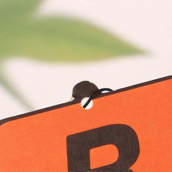 Bilduft R Stjerne Anheng Luftfrisker Bil Bakspeil Hengende Langvarig Aromaterapi Dufttabletter Bil Deodorisering[HK] Blue