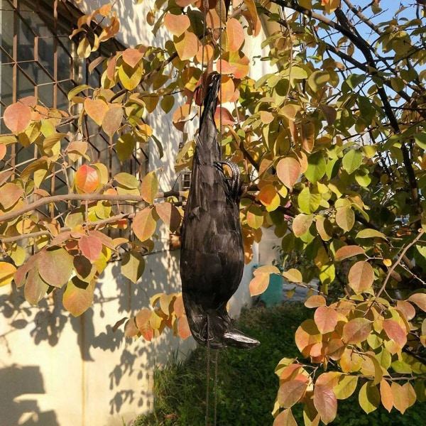 Realistisk hängande död kråka lockbete i naturlig storlek extra stor svart fjäderkråka([HK])