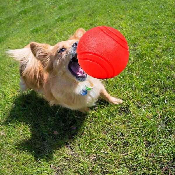 Hundelegetøj Solide Bolde Gummi Tyggelegetøj til Hunde Premium Solid Bidebestandig Bold[HK] Red