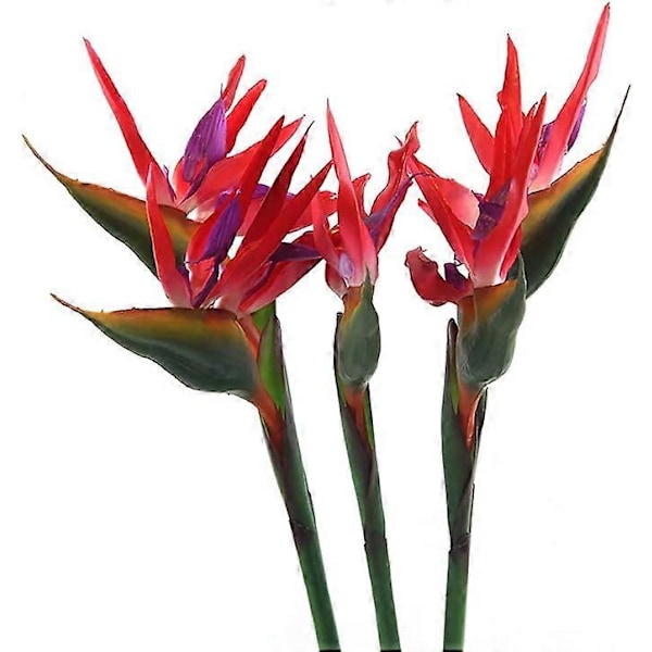Varm 65 cm stor elegant paradisfågel hem kontor konstgjorda blommor 3 stycken [HK] Red