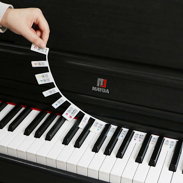 Piano Keyboard Note Labels Avtakbar Silikon Piano Note Guide Med Eske[HK] Colorful
