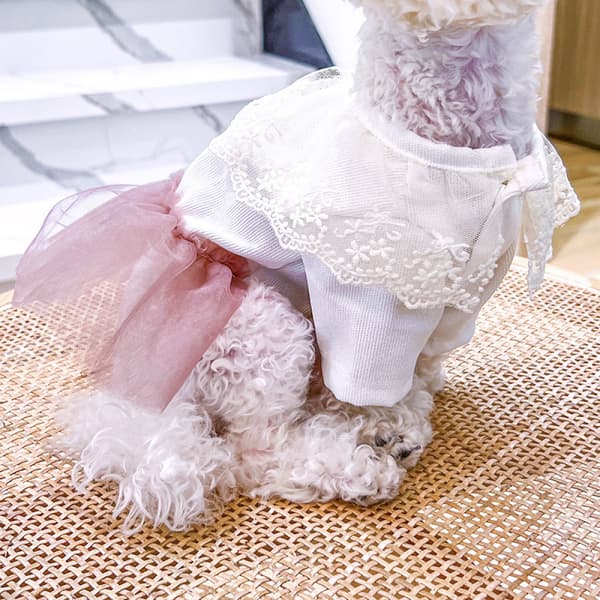 Prinsesse kæledyrstøj til hunde og katte - Mellem størrelse[HK]