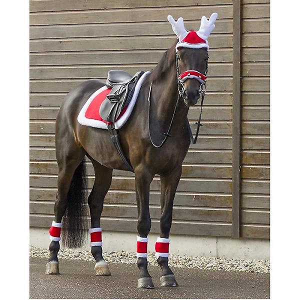 Juleheste Leggings Vintervarme Hesteleggings [HK]