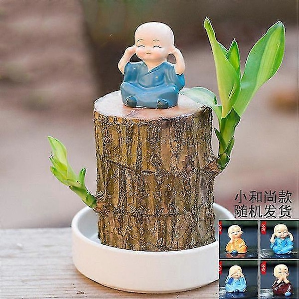 Mini Brasilien Lykketræ - Magisk Spirende Lykkebambus Træ - Hydroponisk Pottet Plante Stub Lille Mini Plante - Hydroponisk Lykketræ - Indo[HK] A 10cm